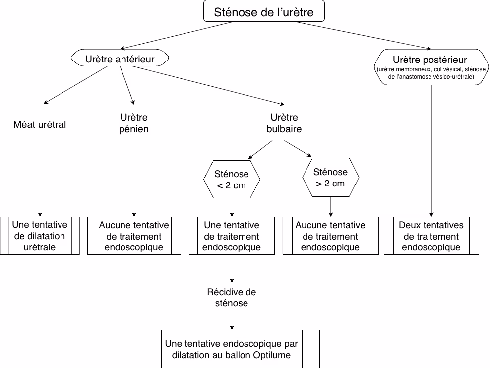 Algorithme décisionnel définissant les indications des traitements endoscopiques et soulignant leur rôle limité dans la prise en charge des sténoses de l’urètre